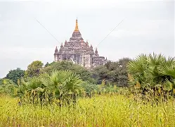 缅甸球队马杜拉闯关成功，亚冠再创佳绩